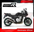 Auspuff Schalldämpfer DOMINATOR GP1 passend für Suzuki GSF 650 BANDIT N / S 2007  2016 4