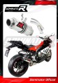 Auspuff Schalldämpfer DOMINATOR GP1 passend für BMW S1000RR 2017  2018