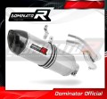 Auspuff Schalldämpfer DOMINATOR HP1 passend für BMW S1000RR 2017  2018 2
