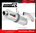Auspuff Schalldämpfer DOMINATOR OV passend für BMW S1000RR 2015  2016 2