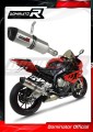 Auspuff Schalldämpfer DOMINATOR HP1 passend für BMW S1000RR 2012  2014 4