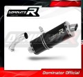 Auspuff Schalldämpfer DOMINATOR P7 schwarz passend für BMW R1200GS Adventure 2008  2009 4