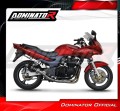Auspuff Schalldämpfer DOMINATOR GP1 schwarz passend für Kawasaki ZR7 / ZR7S 1999  2004 3
