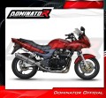 Auspuff Schalldämpfer DOMINATOR homologiert OV passend für Kawasaki ZR7 / ZR7S 1999  2004 3