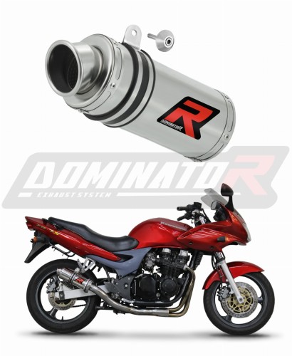 Auspuff Schalldämpfer DOMINATOR GP1 passend für Kawasaki ZR7 / ZR7S 1999  2004 5