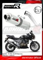 Auspuff Schalldämpfer DOMINATOR homologiert rund passend für Kawasaki Z750 2004  2006