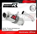 Auspuff Schalldämpfer DOMINATOR homologiert GP1 passend für Kawasaki ZX10R 2004  2005