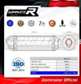 Auspuff Schalldämpfer DOMINATOR HP1 passend für Kawasaki ER 5 500 1996  2006 2