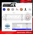 ZX9R EXHAUST Kawasaki Muffler Auspuff Sportauspuff Silencer Echappement Silencieux Scarico Scarichi Escape Wydech Tłumik OVAL 1994 - 2002 Dominator 1