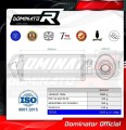 Auspuff Schalldämpfer DOMINATOR OV passend für Suzuki SV 650 S 1999  2002 4