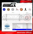 Auspuff Schalldämpfer DOMINATOR GP1 passend für Suzuki SV 650 S 1999  2002 4