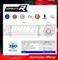 TL 1000 R EXHAUST Suzuki Muffler Auspuff Sportauspuff Silencer Echappement Silencieux Scarico Scarichi Escape Wydech Tłumik OVAL 1997 - 2000 Dominator 1