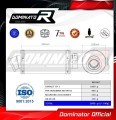 Auspuff Schalldämpfer DOMINATOR GP1 passend für Suzuki BURGMAN 400 1998  2002 5
