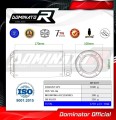 Auspuff Schalldämpfer DOMINATOR GPS passend für Yamaha YZF R6 2006  2016 5