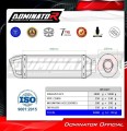 Auspuff Schalldämpfer DOMINATOR homologiert HP1 schwarz passend für Kawasaki Z1000 2010  2013 5