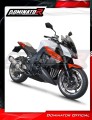 komplette Auspuffanlage mit Schalldämpfer DOMINATOR Full System HP1 passend für Kawasaki Z1000 2014  2016 5