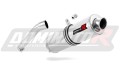 Auspuff Schalldämpfer DOMINATOR rund passend für Acces Motor TOMAHAWK 250  3