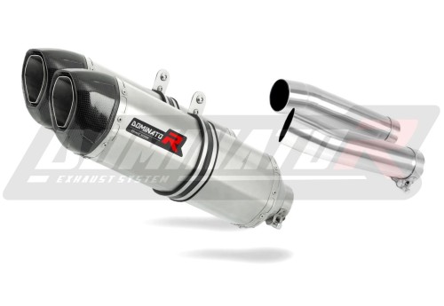 RSV 1000 R Exhaust Aprilia Muffler Auspuff Sportauspuff Silencer Echappement Silencieux Scarico Scarichi Escape Carbon Tip HP1 2004 - 2009 Dominator x