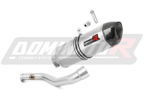 R850GS Exhaust BMW Muffler Auspuff Sportauspuff Silencer Echappement Silencieux Scarico Scarichi Escape Carbon Tip HP1 Dominator x
