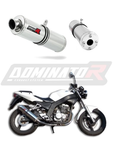 Auspuff Schalldämpfer DOMINATOR rund passend für Daelim VJF Roadwin 125  3