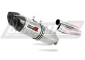 MONSTER 750 EXHAUST Ducati Muffler Auspuff Sportauspuff Silencer Echappement Silencieux Scarico Scarichi Escape Wydech Tłumik Carbon Tip HP1 1996 - 2002 Dominator  x