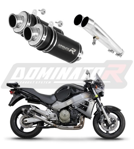 Auspuff Schalldämpfer DOMINATOR GP1 schwarz passend für Honda CB 1100 X11  6