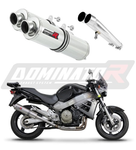 Auspuff Schalldämpfer DOMINATOR rund passend für Honda CB 1100 X11  6