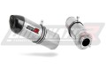Auspuff Schalldämpfer DOMINATOR HP1 passend für Honda CBF 250 2004  2006 3