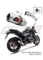 Auspuff Schalldämpfer DOMINATOR homologiert GP passend für CB 600F HORNET 2007  2013 5