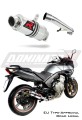 Auspuff Schalldämpfer DOMINATOR homologiert GP 1 passend für CBF 600 2008  2013 5