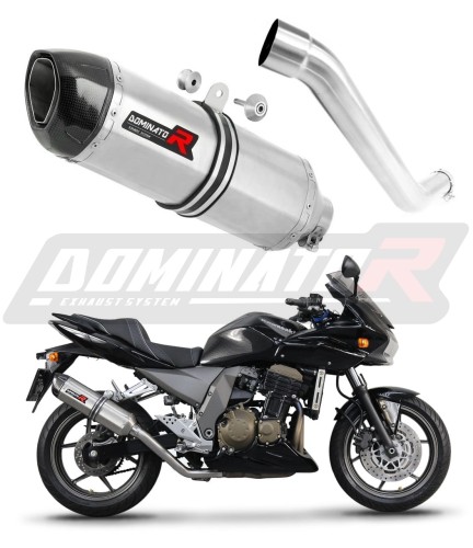 Auspuff Schalldämpfer DOMINATOR HP1 passend für Kawasaki Z750 2004  2006 6