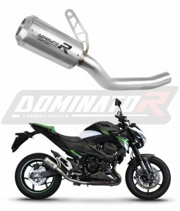 Kawasaki Z800 2013 - 2016 Schalldämpfer Auspuff GPS + dB killer medium