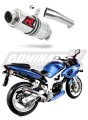 Auspuff Schalldämpfer DOMINATOR GP1 passend für Suzuki SV 650 S 1999  2002 5