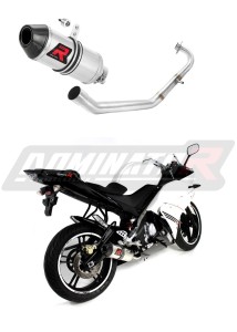Yamaha YZF R125 2008 - 2013 Auspuffanlagen Schalldämpfer HP3 + dB killer medium