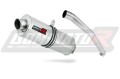 Auspuff Schalldämpfer DOMINATOR OV passend für Yamaha YZF R6 1999  2002 3