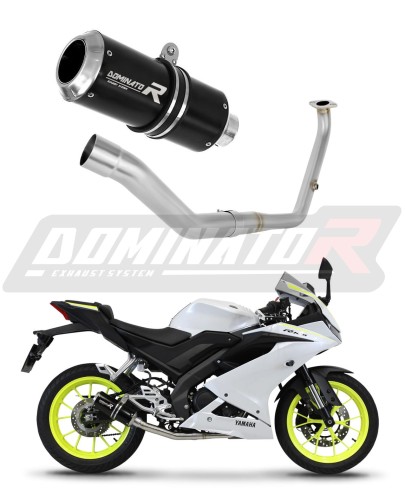 komplette Auspuffanlage mit Schalldämpfer DOMINATOR Full System GP schwarz passend für Yamaha YZF R125 2021  2023 6
