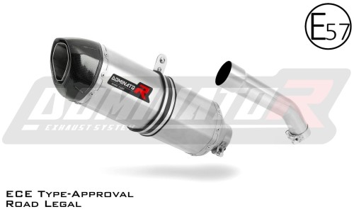Auspuff Schalldämpfer DOMINATOR homologiert HP1 passend für Kawasaki ZX10R 2004  2005 3