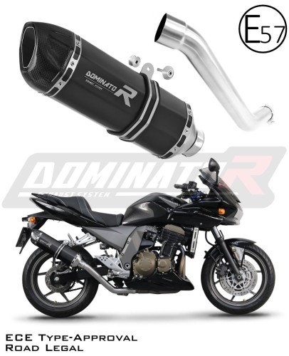 Auspuff Schalldämpfer DOMINATOR homologiert HP1 schwarz passend für Kawasaki Z750 2004  2006 6
