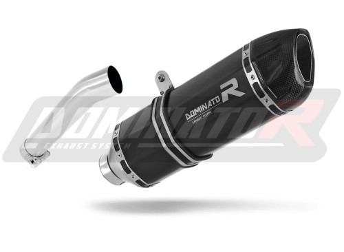 Auspuff Schalldämpfer DOMINATOR HP1 schwarz passend für BMW F650GS 2000  2003 2