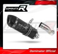 Auspuff Schalldämpfer DOMINATOR homologiert HP1 schwarz passend für Kawasaki Z 900 A2 2020  2024 3