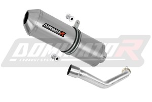 Suzuki BURGMAN 400 2007 - 2016 Schalldämpfer Auspuff OVR + dB killer