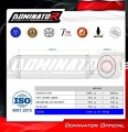 Auspuff Schalldämpfer DOMINATOR OVR passend für Aprilia Tuono 1000 R 2006  2010 3