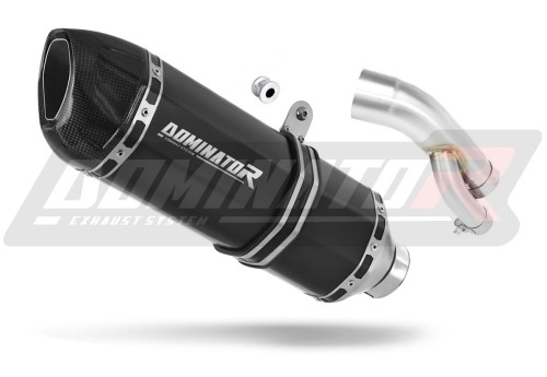 Auspuff Schalldämpfer DOMINATOR HP1 schwarz passend für BMW S1000R 2017  2020