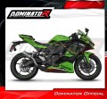 Auspuff Schalldämpfer DOMINATOR GPS passend für Kawasaki ZX4R / RR 2023  2024 4