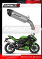 Auspuff Schalldämpfer DOMINATOR Titan HP8 passend für Kawasaki ZX4R / RR 2023  2024
