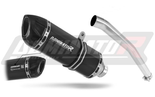 Auspuff Schalldämpfer DOMINATOR homologiert HP1 schwarz passend für Yamaha YZF R6 1999  2002