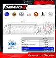 Auspuff Schalldämpfer DOMINATOR S6 passend für Suzuki GSF BANDIT 1200 2001  2005 4