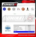 Suzuki DL 650 V-Strom 2004 - 2006 EXHAUST Muffler Auspuff Sportauspuff Silencer Echappement Silencieux Scarico Scarichi Escape Wydech Tłumik OVR BL Dominator Exhaust System 1