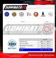 wydech tłumik DOMINATOR OVR CZARNY pasujący do motocykla Honda VTR 1000F Firestorm 2002 - 2006 2