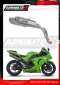Auspuff Schalldämpfer DOMINATOR S6 passend für Kawasaki ZX10R 2006  2007 2